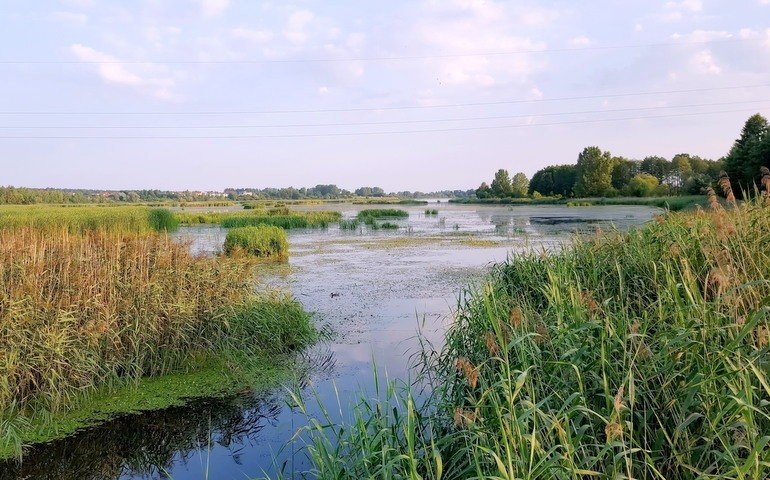 Posprztaj Bugaj po brudasach