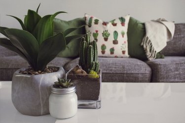 Poduszki dekoracyjne – must have w kadym domu