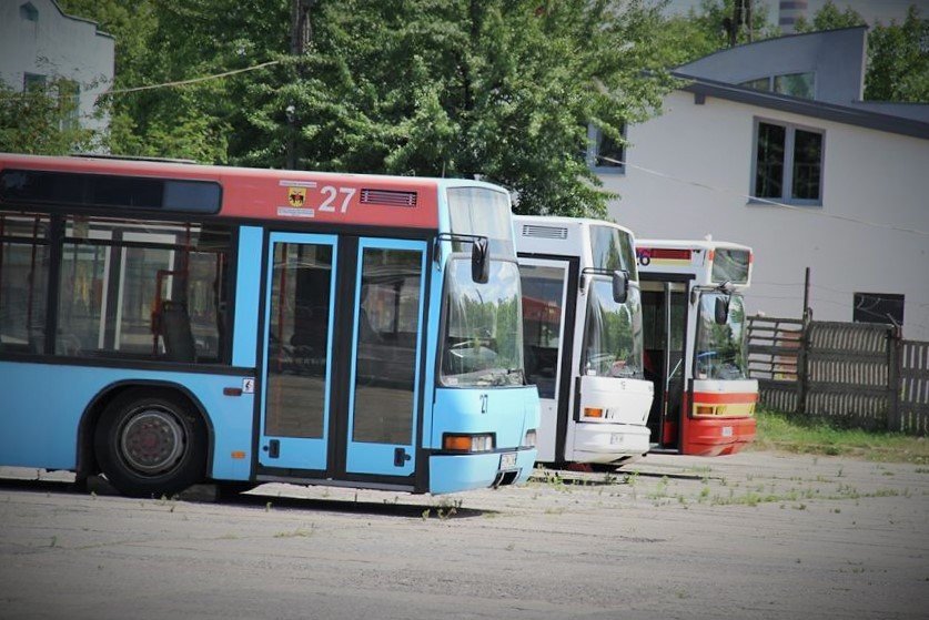 Bezpatna komunikacja na razie w niedziele i wita 