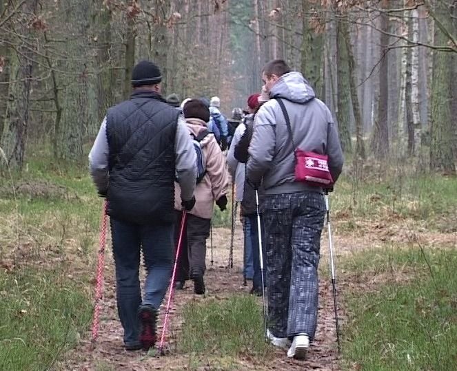 Zapisz si na jesienny nordic walking