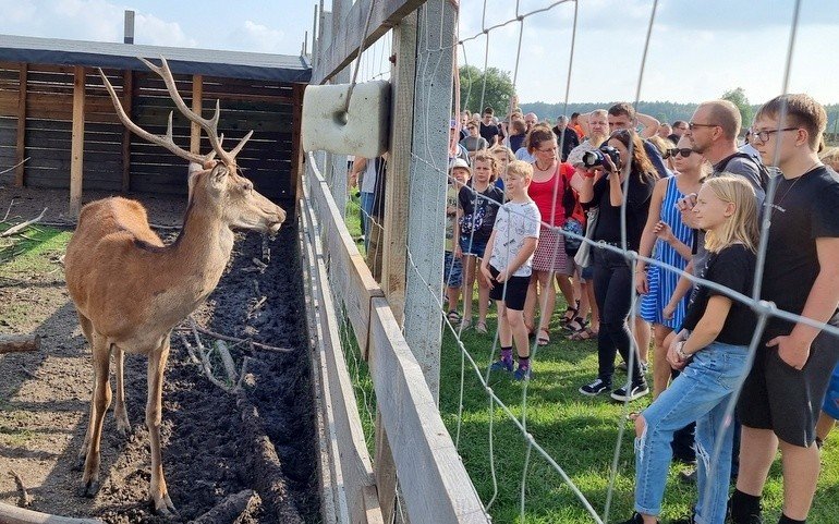 Piknik w Lenej Osadzie Edukacyjnej (ZDJCIA)