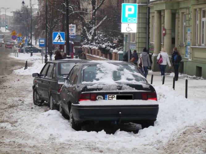 Czego spodziewa si po subach miejskich?