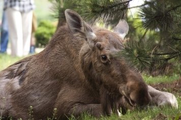 Kolejny o pojawi si w Piotrkowie