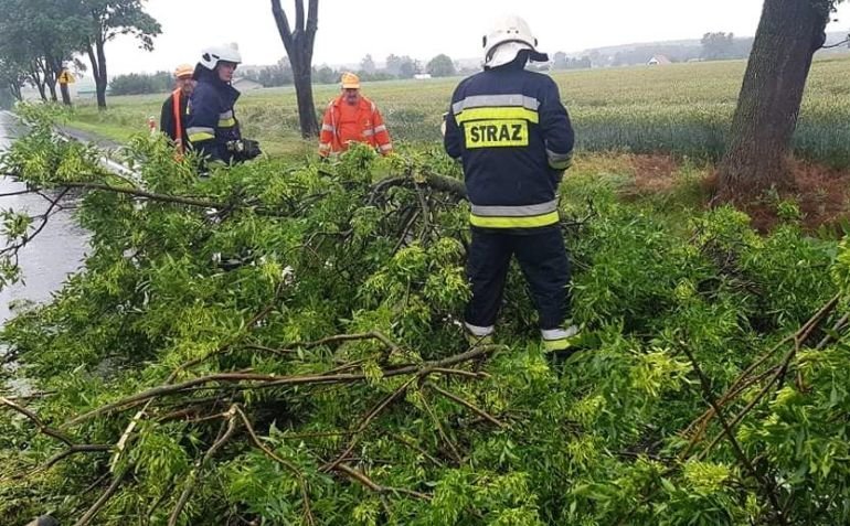 Zamany konar drzewa i zalana droga w Przygowie