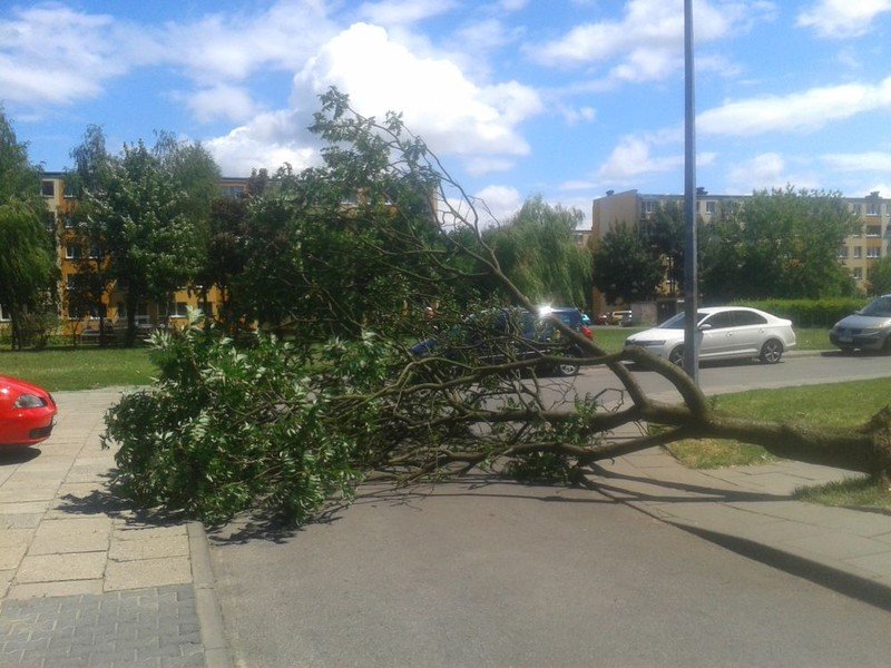 Skutki wichury w naszym regionie 