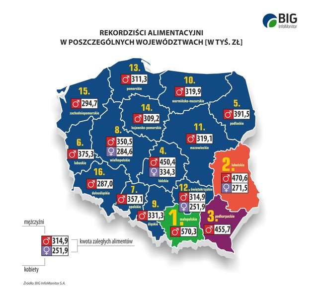 Niepacenie na dzieci najbardziej rozpowszechnione w woj. dzkim 