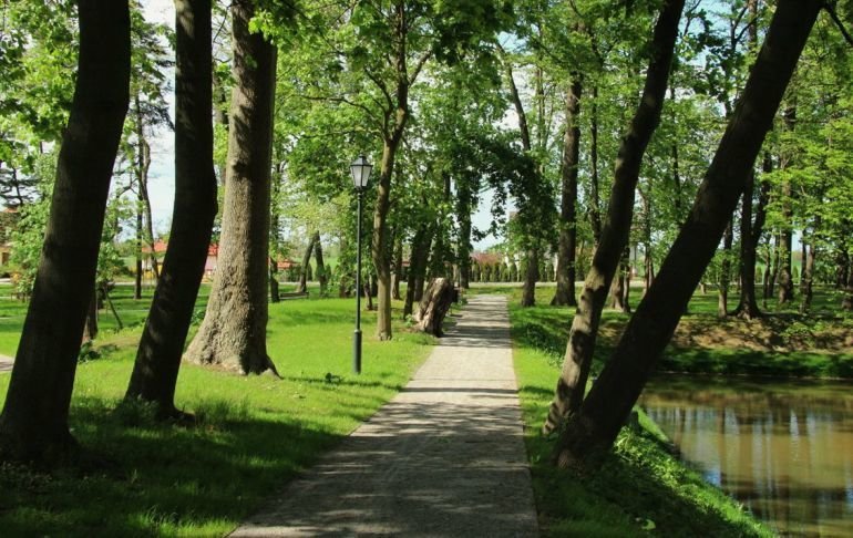 Przyrodnicza pera wojewdztwa dzkiego. Zabytkowy park w Woli Krzysztoporskiej