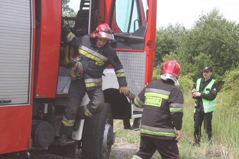 W sprawie owadw do straakw, w sprawie barszczu do urzdu 