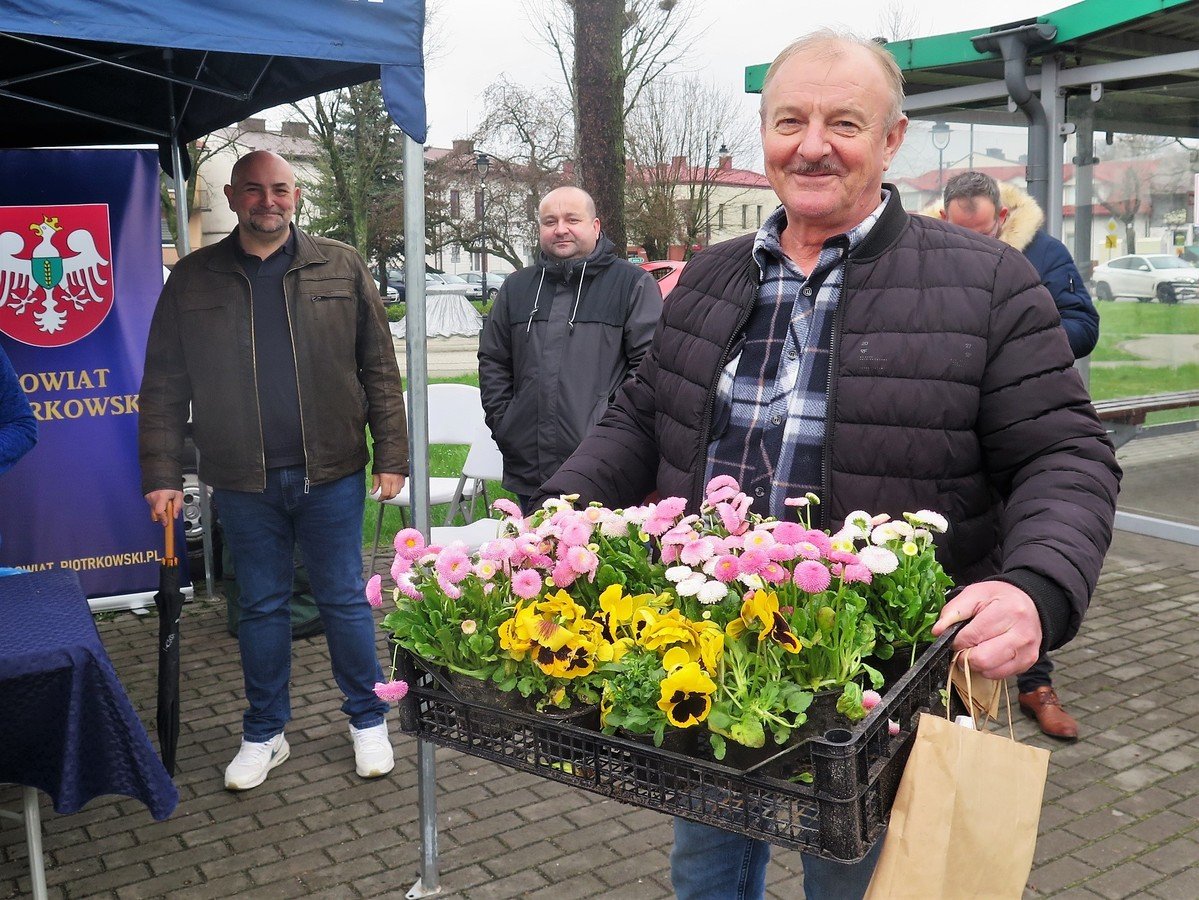 Oddaj nakrtki, odbierz drzewko lub nasiona