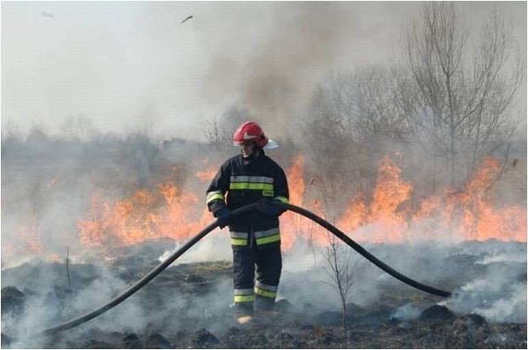 Sezon na bezmylno rozpoczty. Straacy znw apeluj 