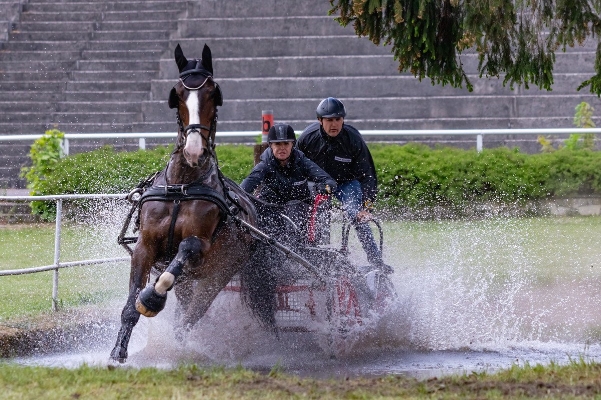 Powozili w Stadzie Ogierw w Bogusawicach