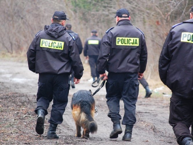 Policjanci przeczesuj lasy - poszukuj mczyzny