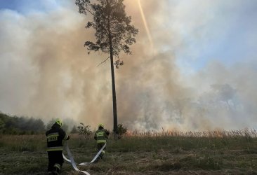 Duy poar lasu w gminie Aleksandrw. W gaszeniu pomaga Dromader. W akcji udzia wzio 36 straakw z naszego regionu