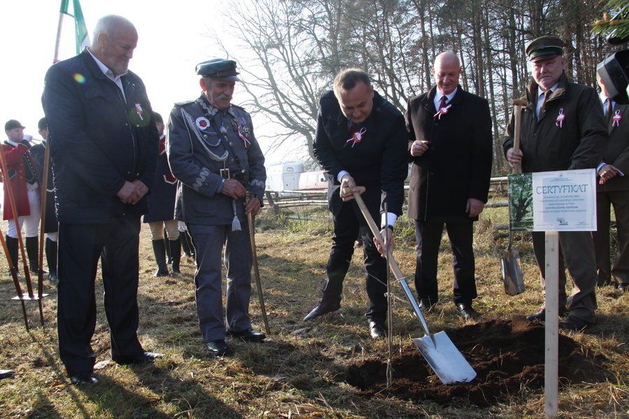 Db Bartu na powiatowych obchodach stulecia wolnej Polski