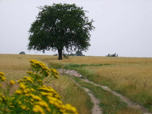 Album powiatu piotrkowskiego gotowy