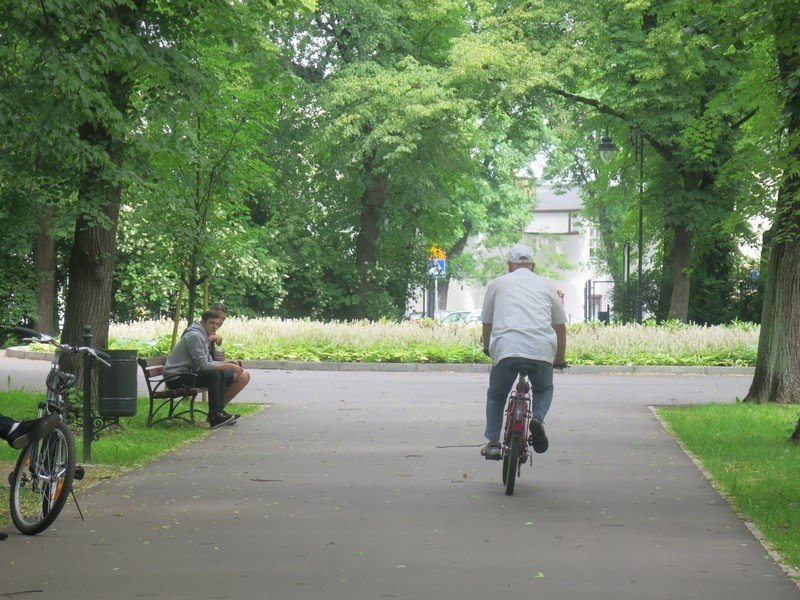 Park Poniatowskiego z kawiarni?