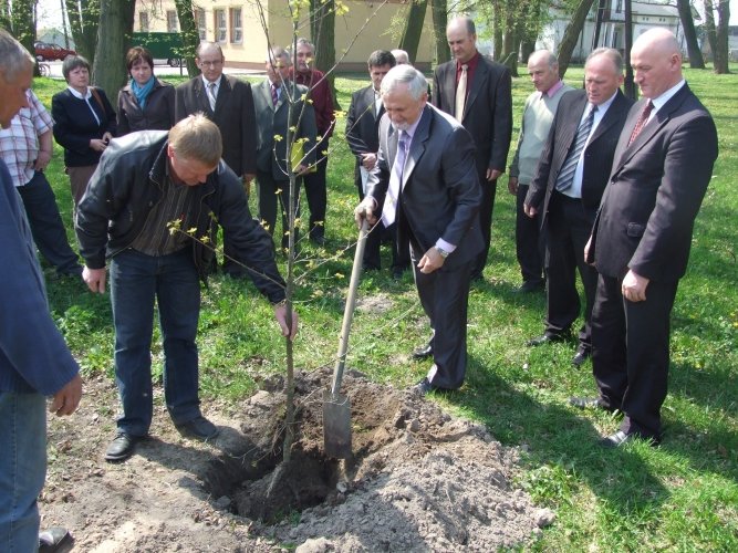 Region: Zasadzili db ku czci ofiar katastrofy