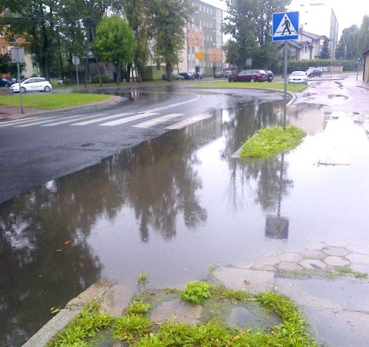 Zaprasza radnych na spacer