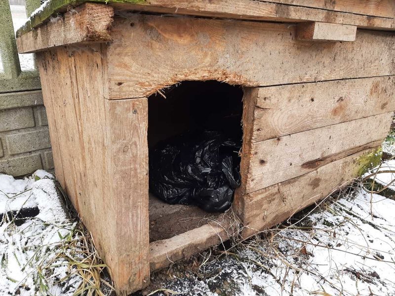 Narkotyki schowane w psiej budzie