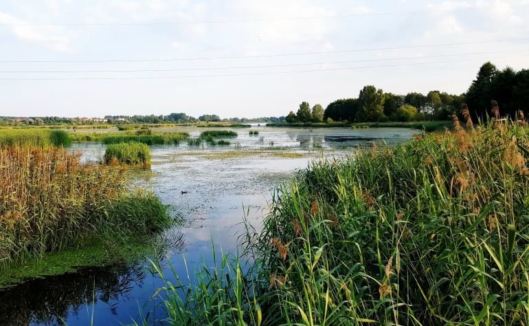 Zagospodarowanie jeziora Bugaj. Jest koncepcja, teraz walka o dofinansowanie