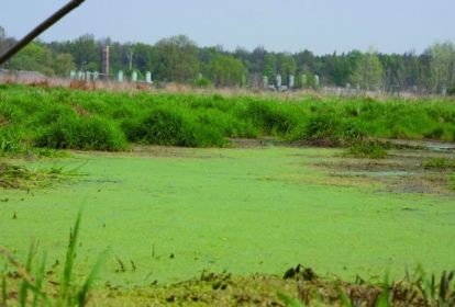 Najlepsze agrokurorty i zwycizcy „Przyjaznej Wsi”