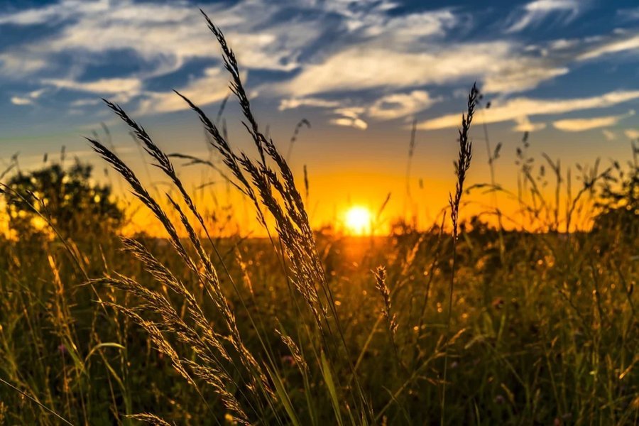 Synoptyk IMGW: niedziela pod znakiem adnej pogody