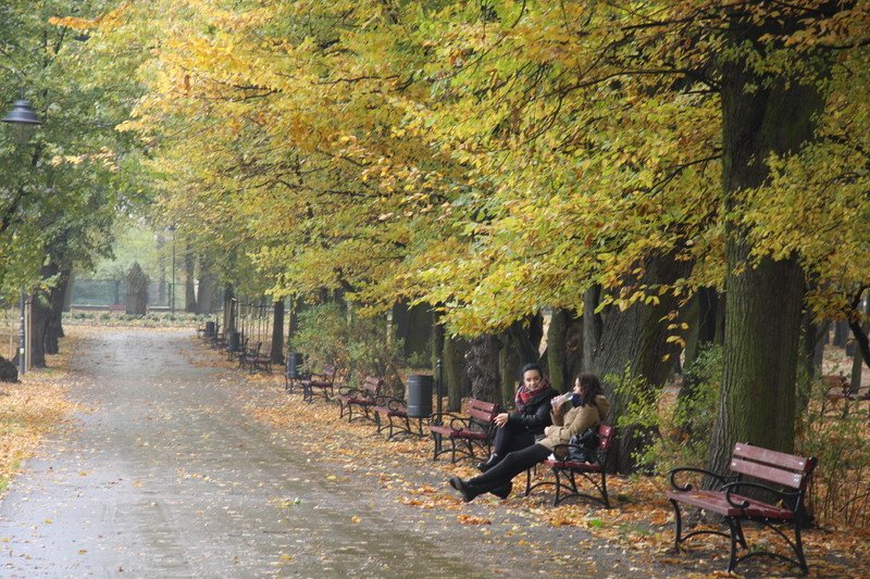 Co z toaletami w naszych parkach? 