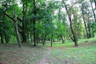 Kto odnowi moszczenicki park?