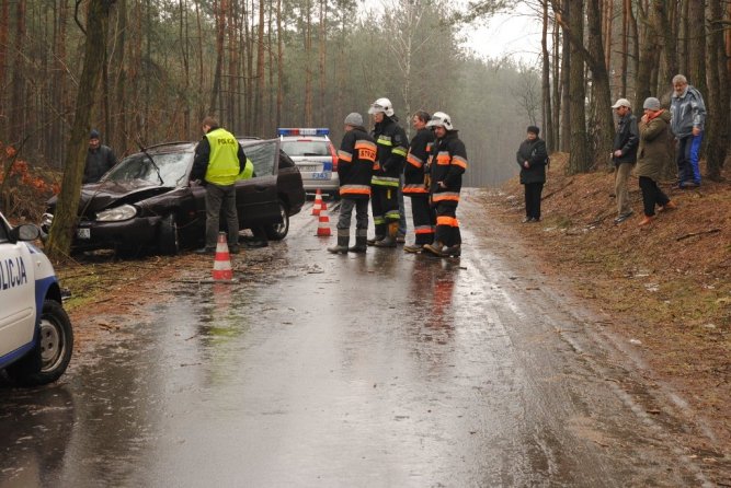 Region: Uderzenie w drzewo - pi osb w szpitalu