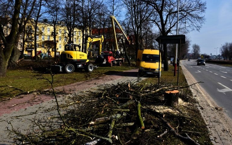 Znikaj drzewa z placu Niepodlegoci. Ruszya modernizacja 