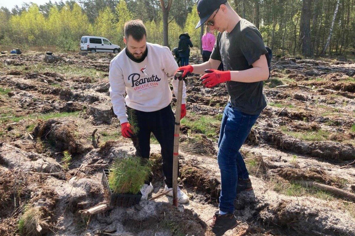 Rusza pita edycja Festiwalu Wolontaryjnego EY GDS Polska. Pracownicy zasadz 4000 drzew