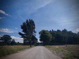 Droga powiatowa Mierzyn – Antonielw bdzie modernizowana