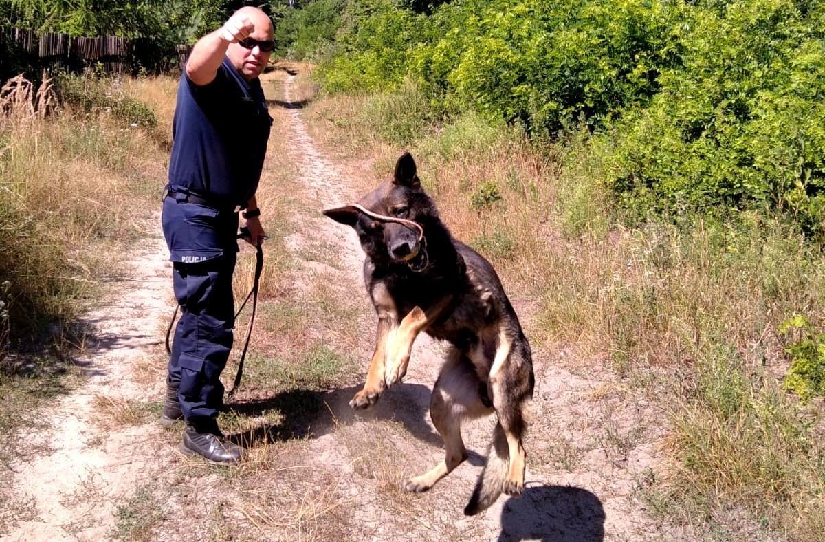 Czworononi policjanci szkolili si pod okiem opiekunw