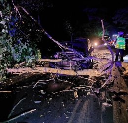 Wypadek pod Piotrkowem. Ford uderzy w przewrcone drzewo