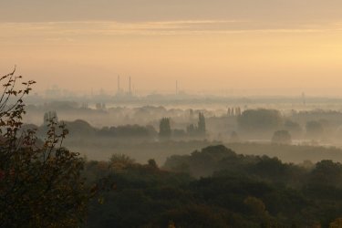 Smog w Piotrkowie. 9-krotne przekroczone normy [AKTUALIZACJA]