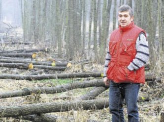 Piotrkw: Gazownia wycia prywatne drzewa