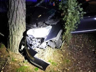 Pijany kierowca uderzy w drzewo