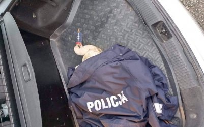 Policjanci uratowali rannego bociana