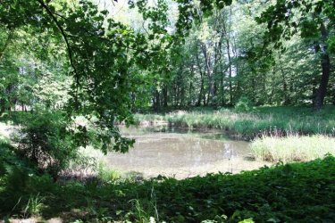 Maj prawie 2 mln dofinansowania na rewaloryzacj parku w Woli Krzysztoporskiej