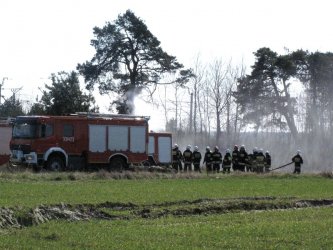 Pożar lasu i traw w Jadwinowie