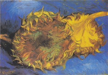 Piotrkowianka pracowała nad wyjątkowym filmem o Van Goghu