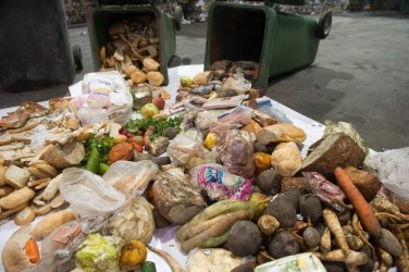 Ekspertka: Polacy w ciągu roku marnują niemal pięć milionów ton żywności
