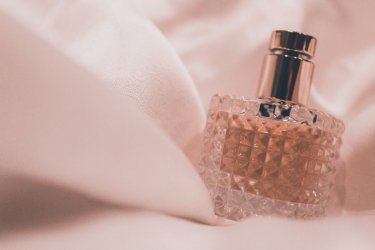 Historia jednego zapachu - Calvin Klein Obsession Night
