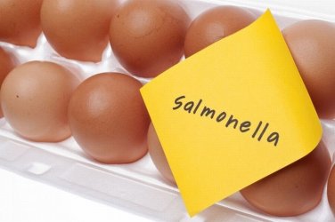 Sanepid ostrzega przed salmonell. Ju 12 przypadkw zachorowa!