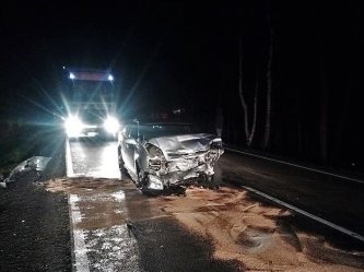 Dwa zniszczone samochody i jedna osoba ranna po zderzeniu z dzikiem