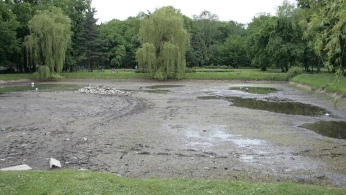 Odmulenie stawu w parku za 100 tys. zł