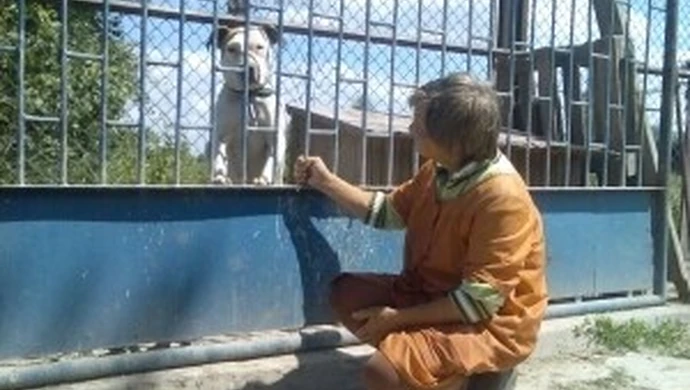 Schronisko dla zwierząt: Przenosiny za 250 tys. ?