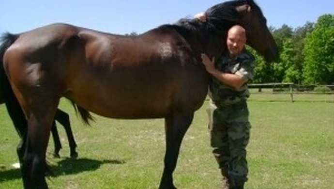 Nowe życie Strzałki