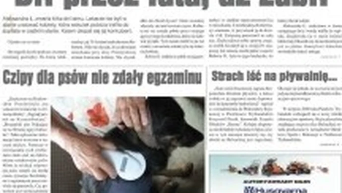 Czipy dla psów nie zdały egzaminu