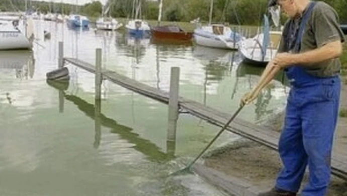 Zalew Sulejowski staje się cuchnącym bajorem